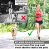 Hands Free Dog Leash for Medium and Large Dogs