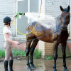 Dog Wash Outdoor, High-Pressure Shower Sprayer