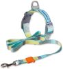 Touchdog 'Trendzy' Printed Dog Leash and Collar