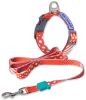 Touchdog 'Trendzy' Printed Dog Leash and Collar