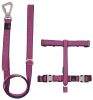 Pet Life 'Escapade' Outdoor Series 2-in-1 Convertible Dog Leash