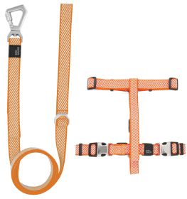 Pet Life 'Escapade' Outdoor Series 2-in-1 Convertible Dog Leash (Color: Orange, size: large)