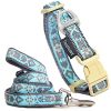 Touchdog 'Shape Patterned' Collar and Leash