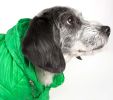 Lightweight Adjustable Pet Coat