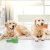 2Pcs Squeaky Dog Toys For Puppy Small Medium Large Dog