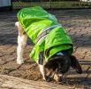 Reflecta-Glow Reflective WaterproofPet Raincoat