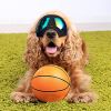 Dog Goggles for Small Breed Dog