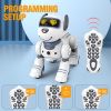 Remote Controlled Machine Dog Toy; Kids Robot;