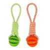 Pet Tooth Cleaning Bite Resistant Toy Ball