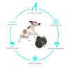 PawPartner Dog Tumbler Interactive Toys