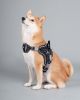 Dog Helios 'Scorpion' Dog Harness