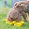 Silicone Collapsible Pet Bowl