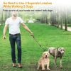 Double Dogs Leash No-Tangle