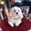 Pet Dog Bed Cozy Nest Sofa Bed Cushion M Size