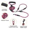 Double Dogs Leash No-Tangle