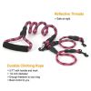 Double Dogs Leash No-Tangle