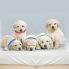 12 Colors Whelping Puppy ID Collars