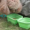 Silicone Collapsible Pet Bowl