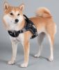 Dog Helios 'Scorpion' Dog Harness