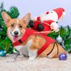 Pet Christmas Costumes