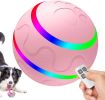 Rolling Ball for Dogs