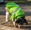 Reflecta-Glow Reflective WaterproofPet Raincoat