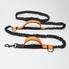 Hands Free Dog Leash for Medium and Large Dogs