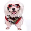 Pet Goggles Dog UV Protection