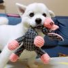 Cute Animal Shaped Toys For Dogs