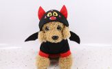 Pet Black Bat Wing Costume Hooded Winter Warm Sweater