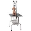 Professional Dog Pet Grooming Table