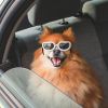 Pet Goggles Dog UV Protection