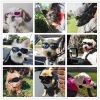 Pet Goggles Dog UV Protection