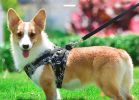 Dog Reflectorized Harness Set Dragon Pattern