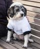 Aspen Winter-White Pet Parka Coat