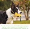 Pet Dog Toy Interactive Rubber Balls for Small Large Dogs