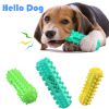 Toothbrush for Dog Molar Stick Dog Chew