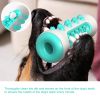 Dog Toothbrush Toys