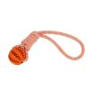 Pet Tooth Cleaning Bite Resistant Toy Ball