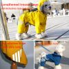 Small dog raincoat