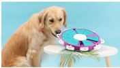 Pet Puzzle Treat Toy