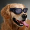 Pet Goggles Dog UV Protection