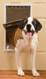 PetSafe Freedom Pet Door (Option: Extra Large)